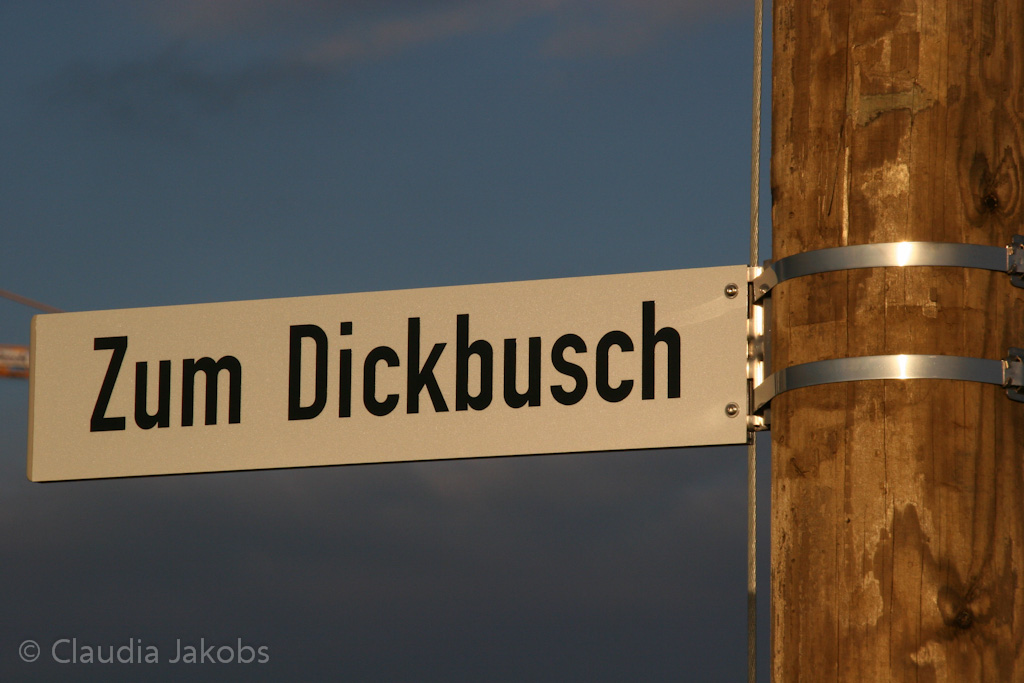 130209174202 IMG 4363