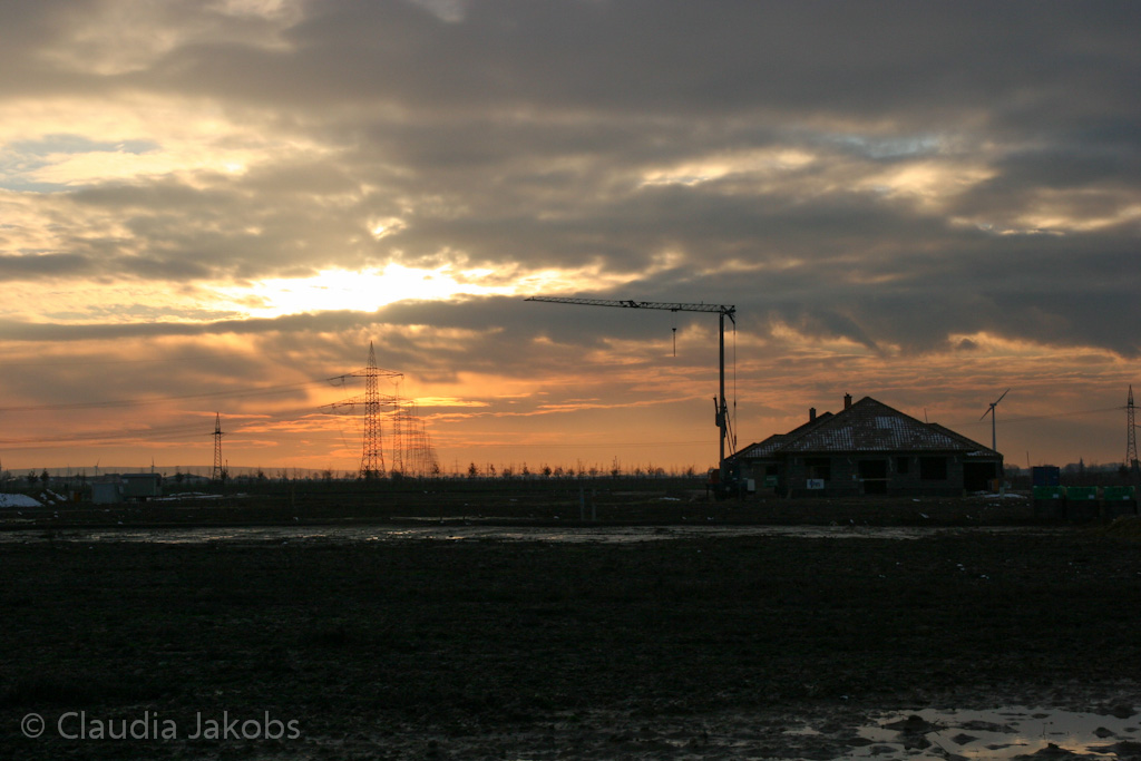 130209181006 IMG 4366