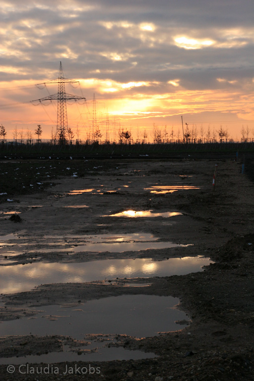 130209181534 IMG 4376