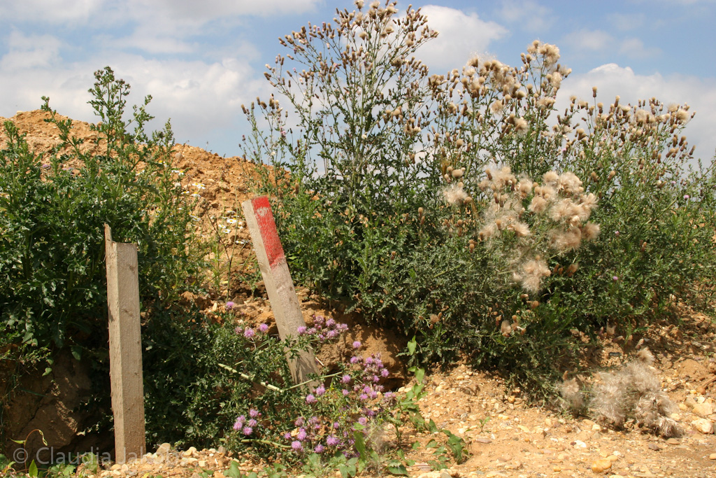 120722132828 IMG 3039