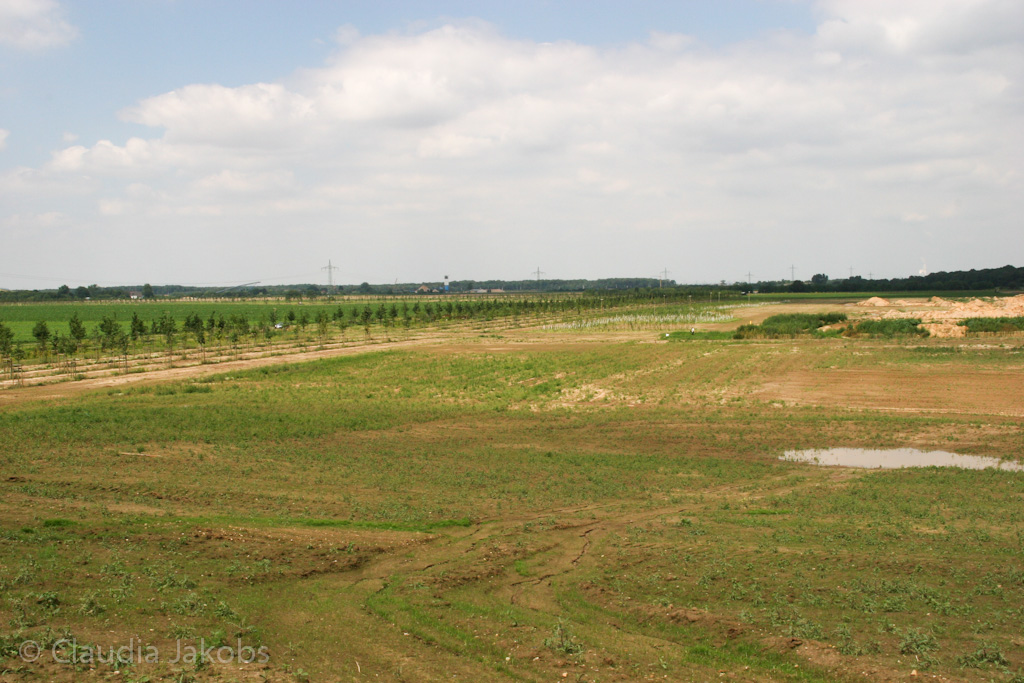 120722134132 IMG 3051