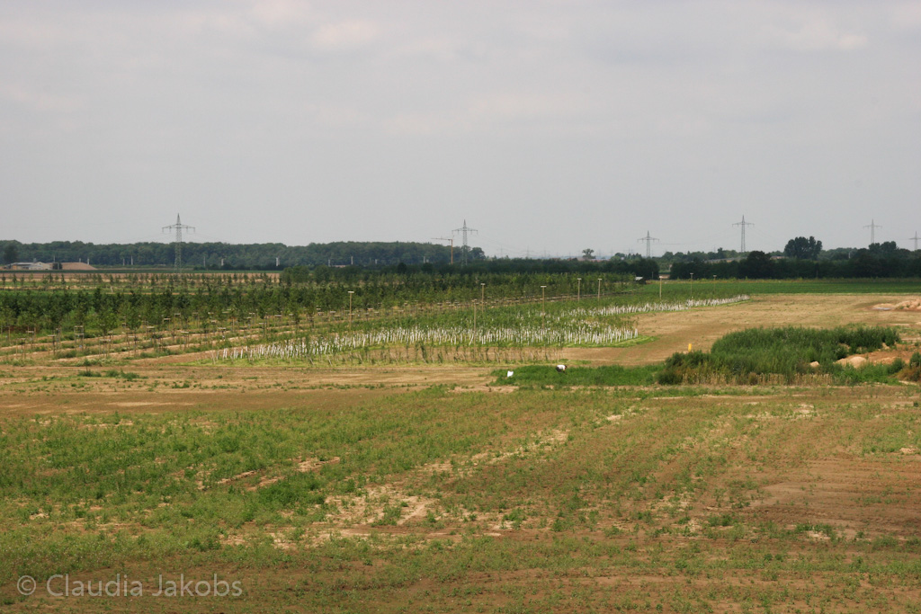 120722134217 IMG 3054