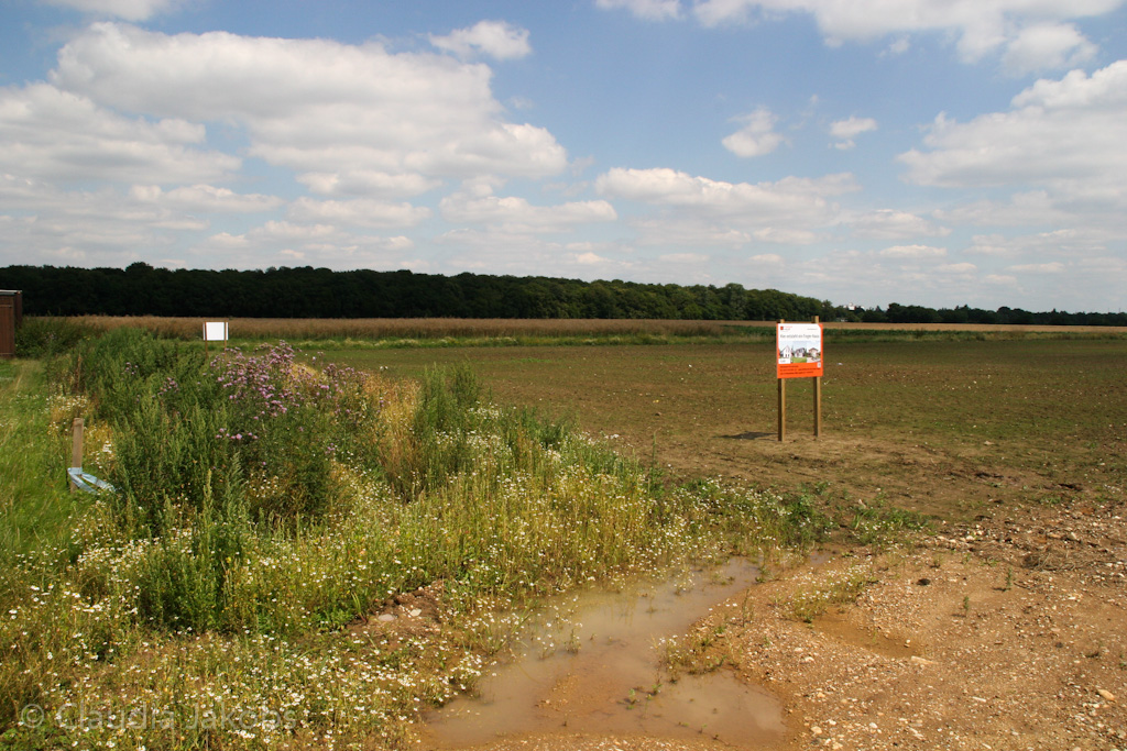 120722140407 IMG 3074