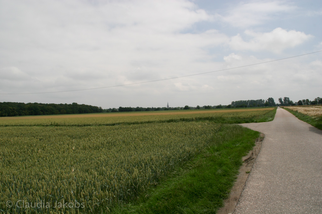 110626132115 IMG 6946