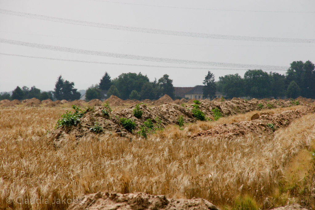 110626132308 IMG 6958