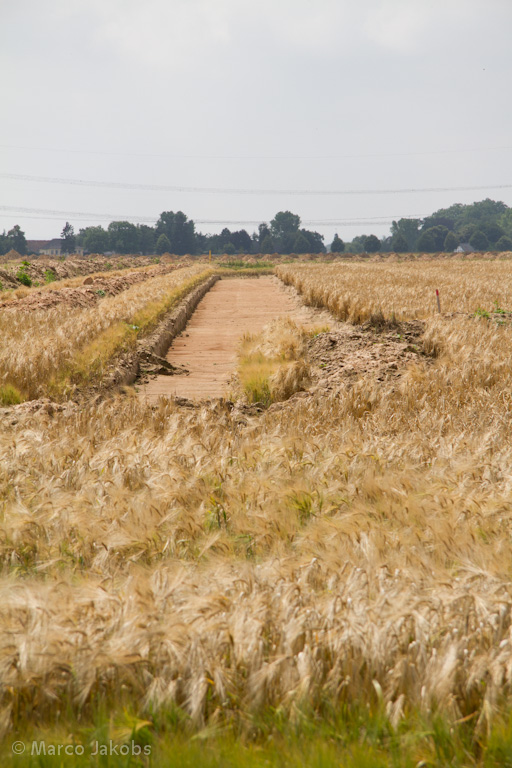 110626132338 IMG 4369