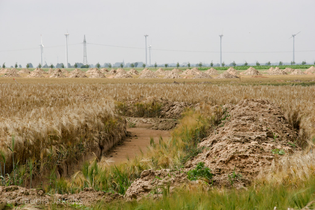 110626132413 IMG 6963