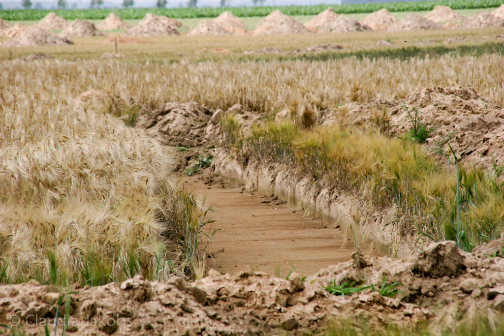 110626132443 IMG 6965