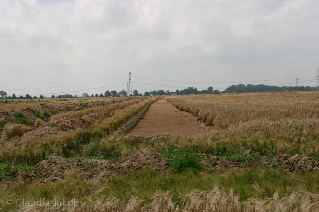 110626132549 IMG 6967