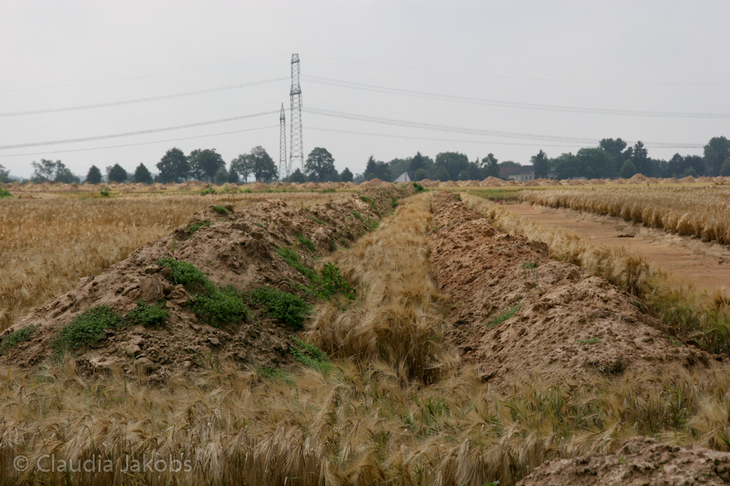 110626132604 IMG 6968