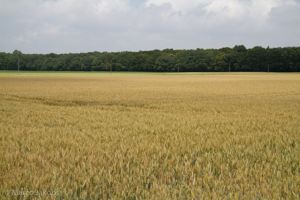 110626132650 IMG 4374