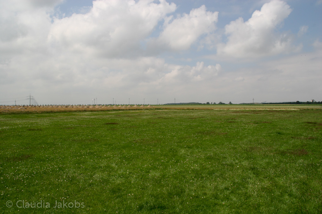 110626133248 IMG 6981