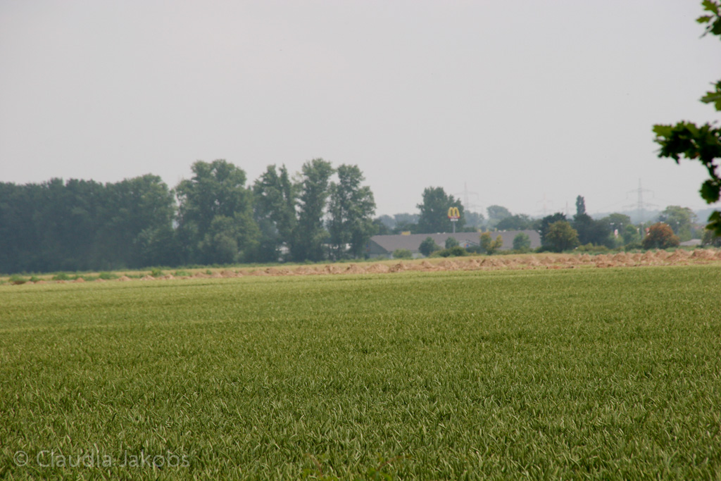 110626133946 IMG 6994