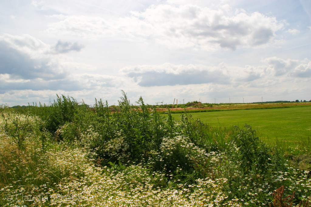 120623155937 IMG 2803