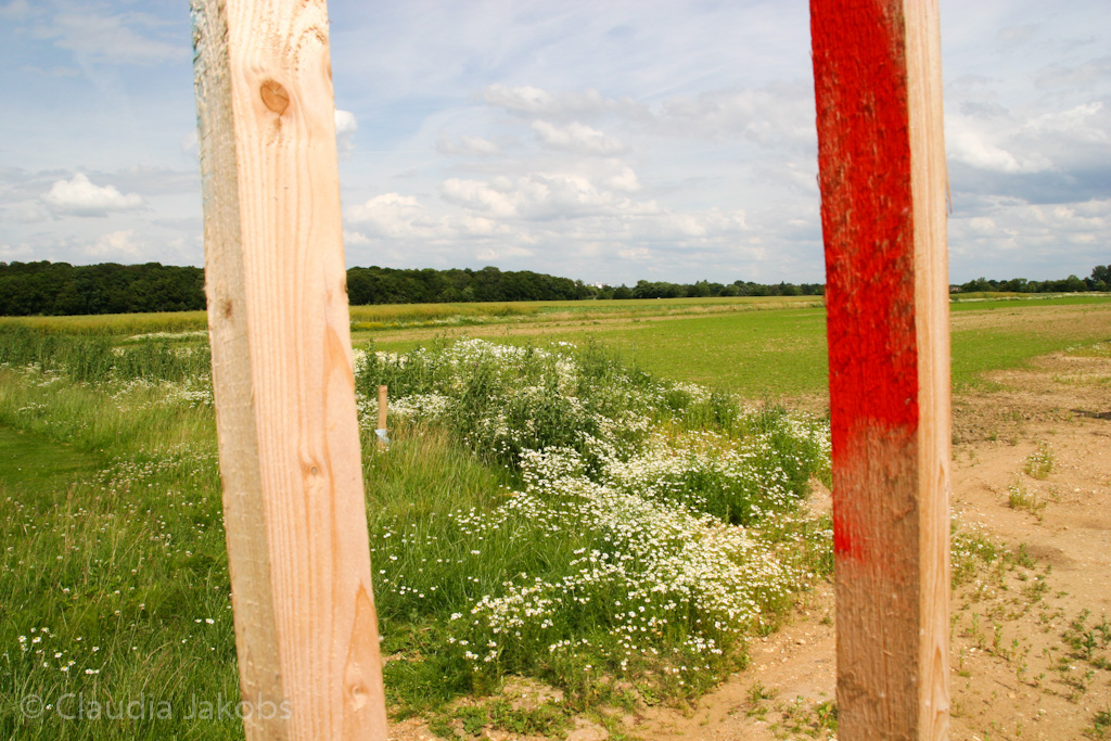 120623160039 IMG 2806