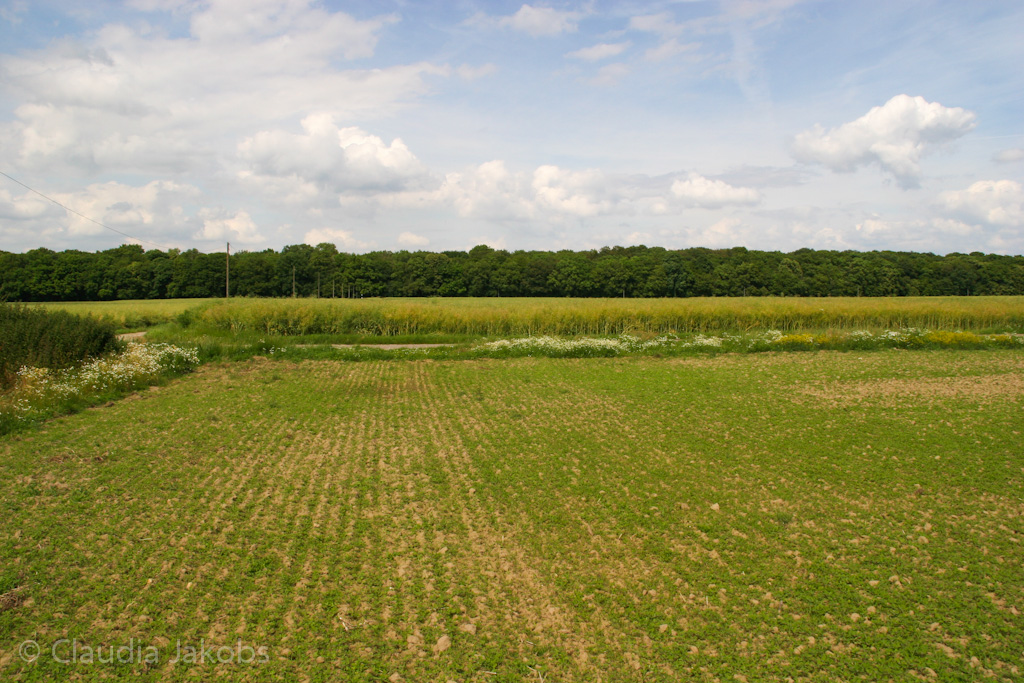 120623160158 IMG 2811