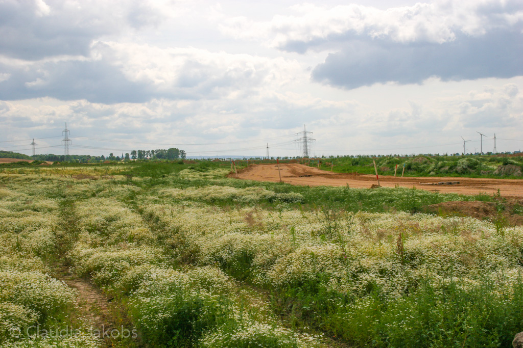 120623160239 IMG 2812