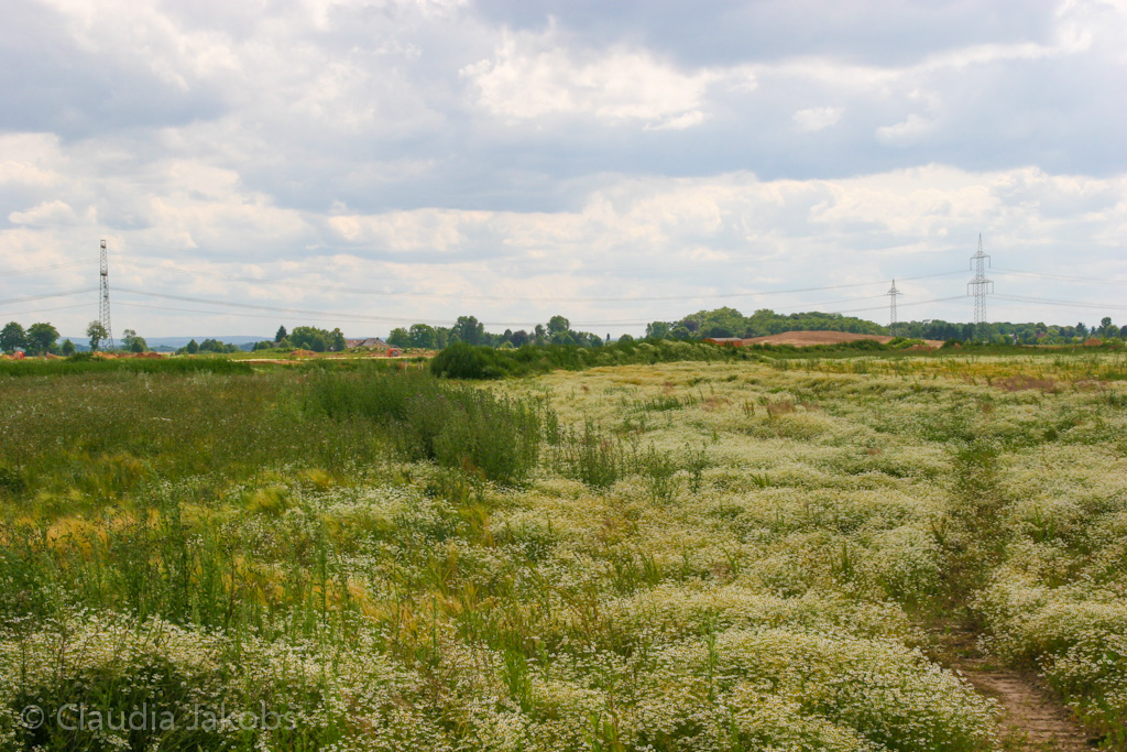 120623160245 IMG 2813