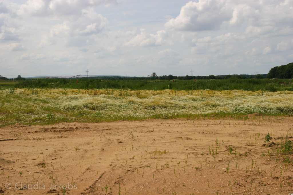 120623160800 IMG 2825