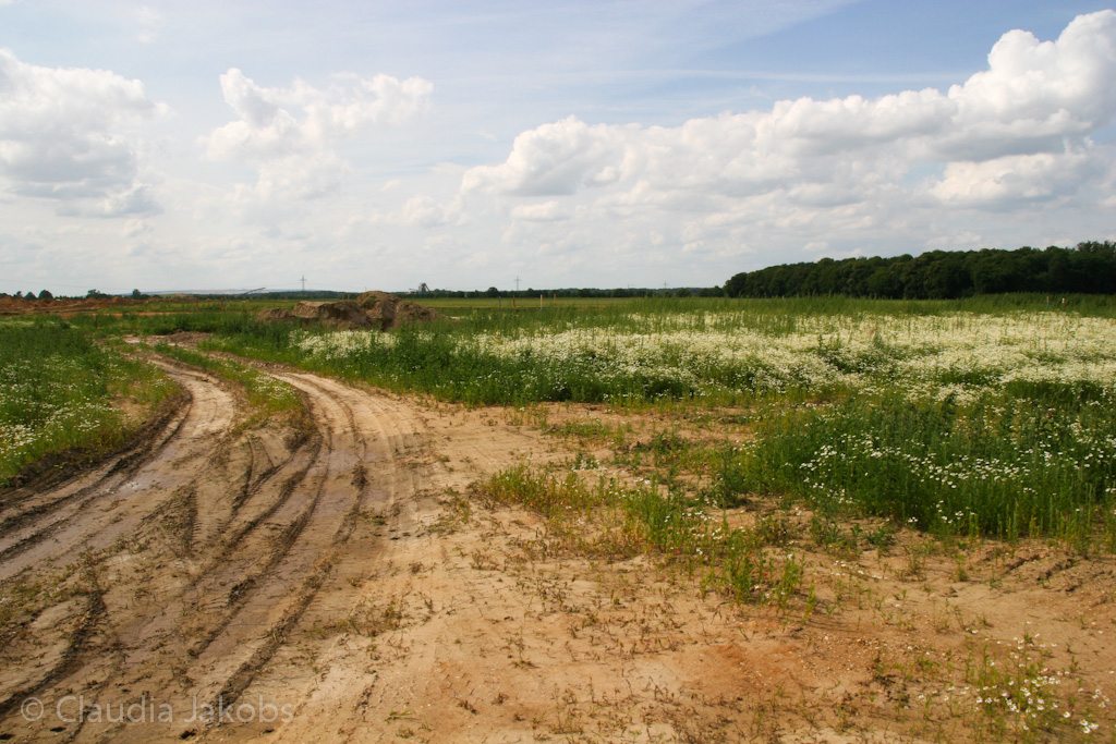 120623160949 IMG 2828