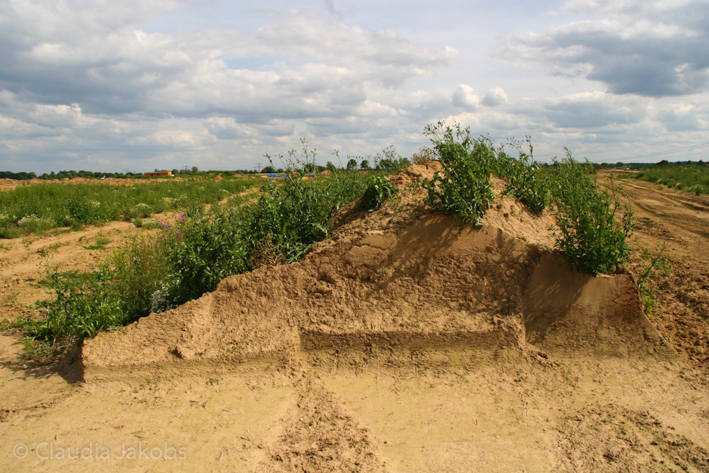 120623161513 IMG 2836