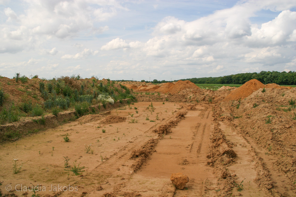 120623161845 IMG 2841