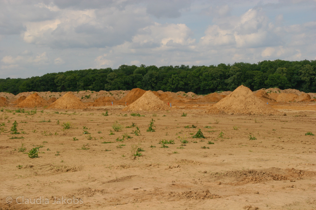 120623162047 IMG 2844