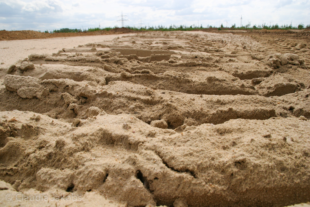 120623162213 IMG 2846