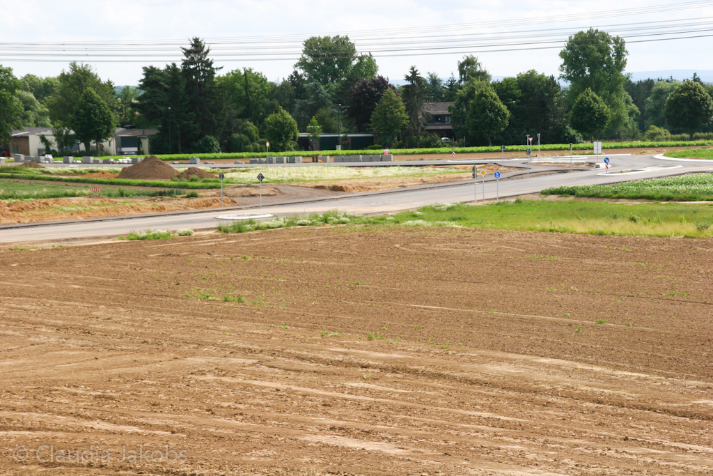 120623163417 IMG 2860