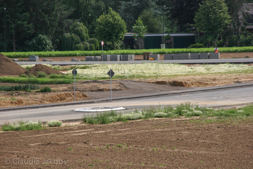 120623163438 IMG 2862