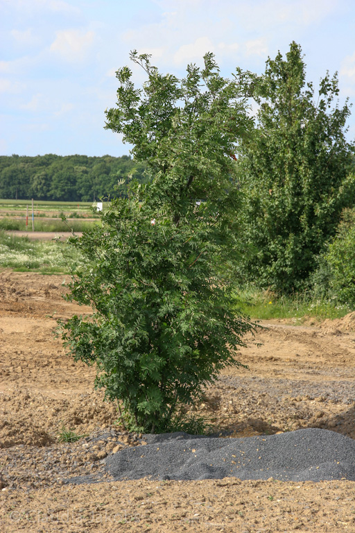 120623165849 IMG 2902