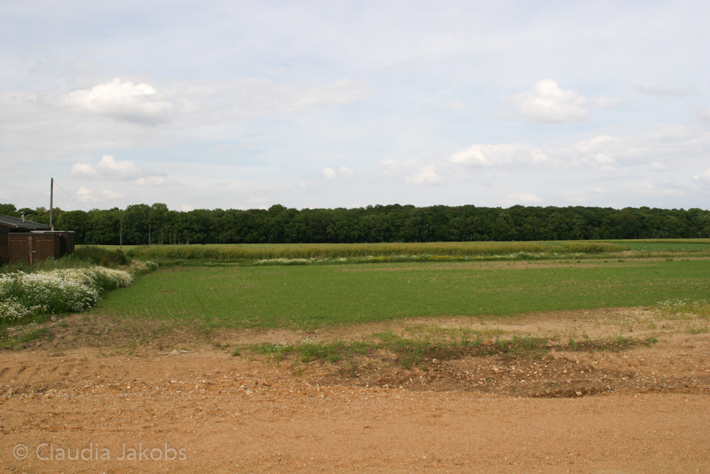 120623171044 IMG 2909