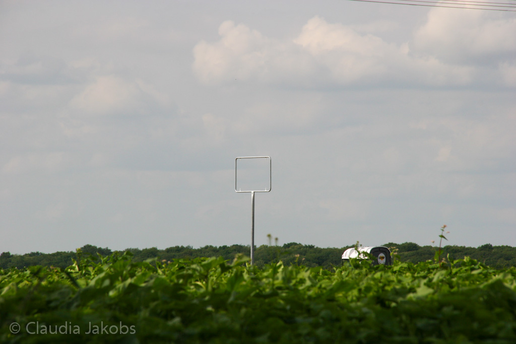 120623171903 IMG 2912