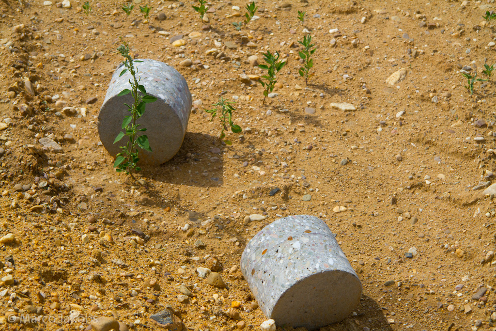 120623180545 IMG 8490