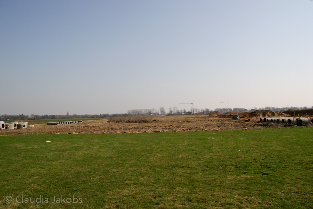 120316134231 IMG 1607