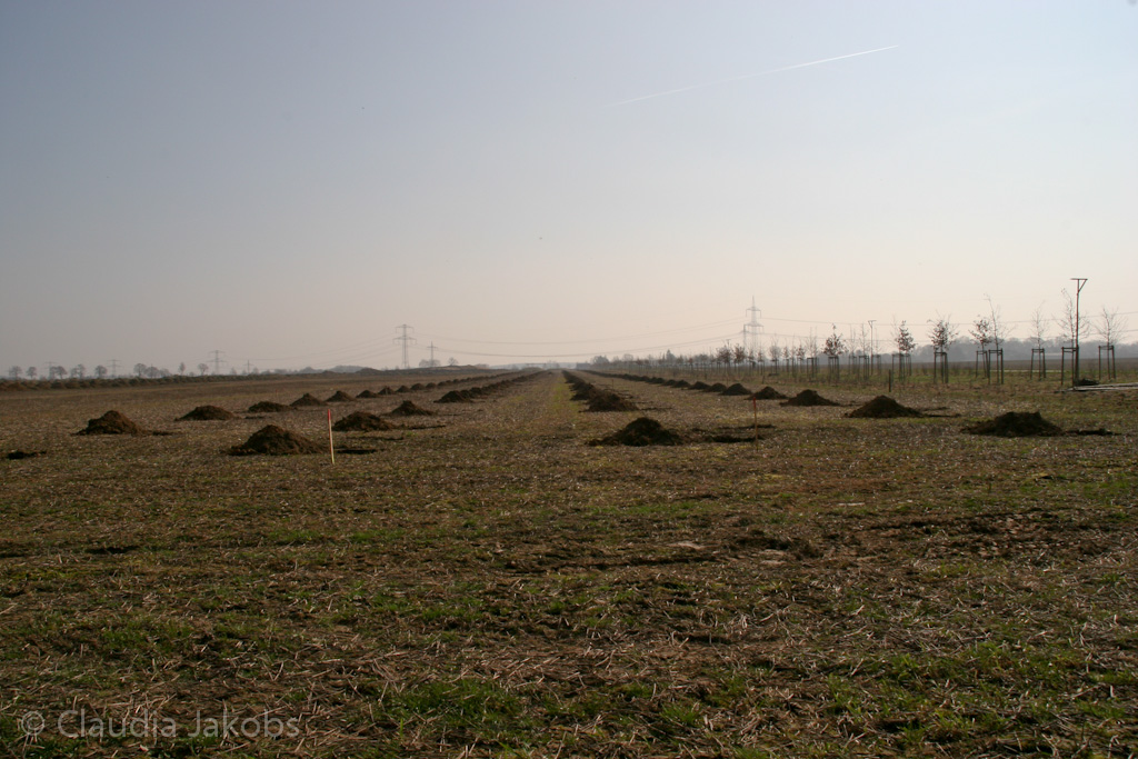 120316134713 IMG 1615