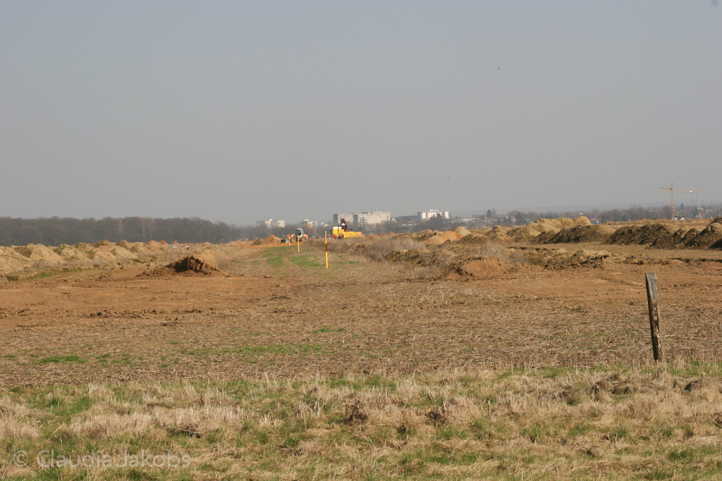 120316134832 IMG 1616