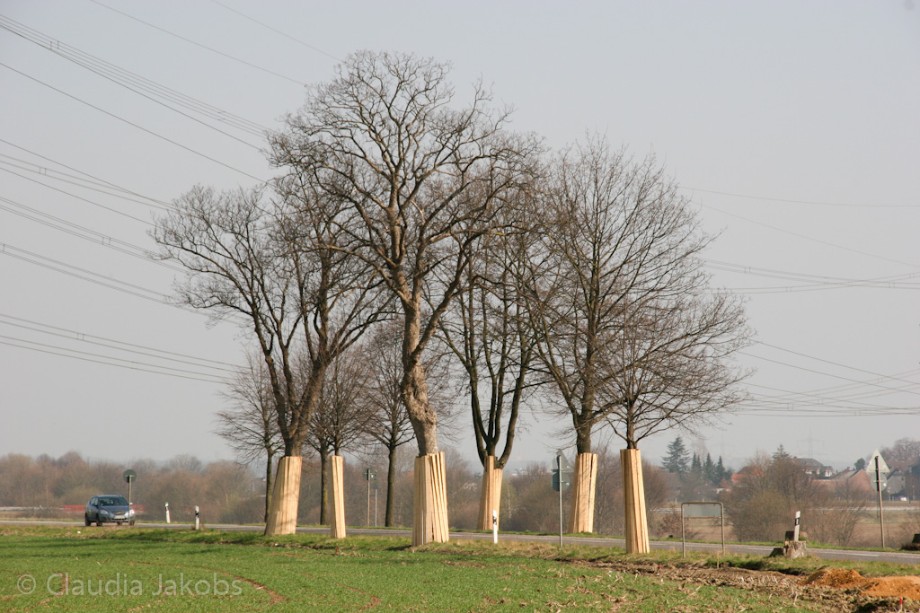 120316135334 IMG 1630