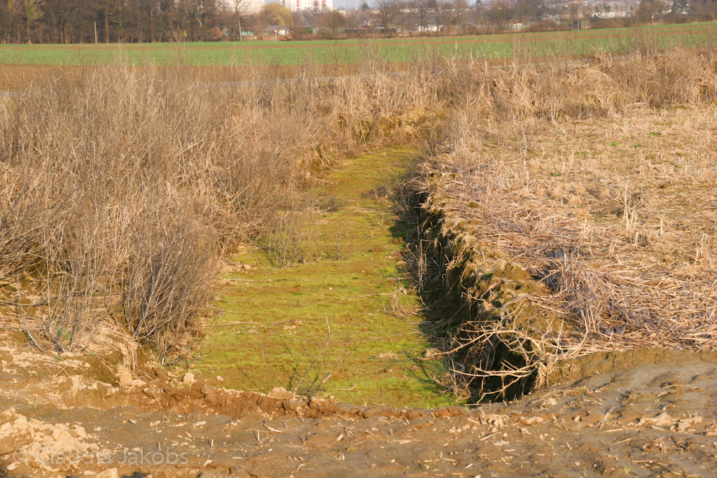 120316171619 IMG 1650