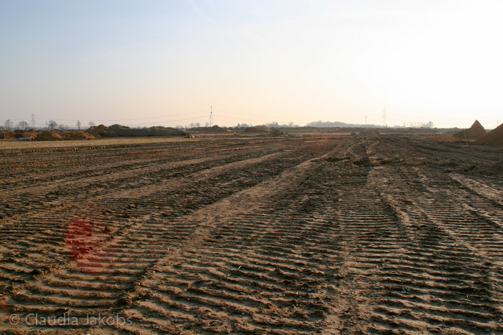 120316171917 IMG 1659