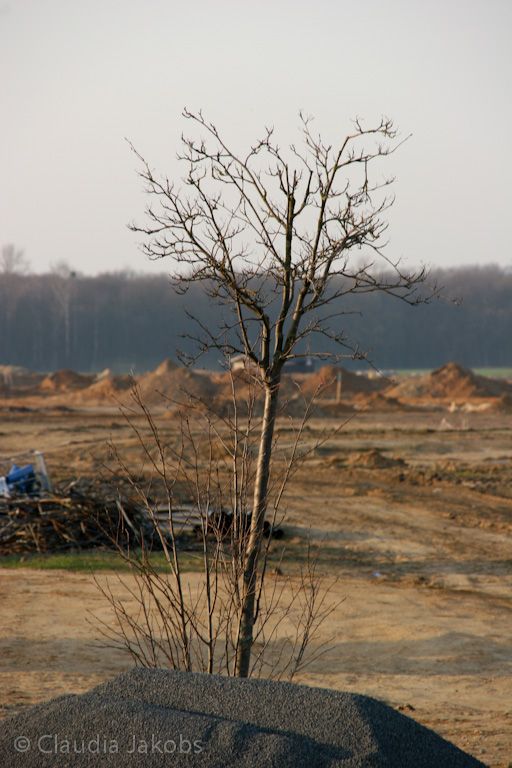 120316173323 IMG 1692