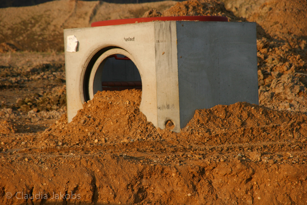 120316174309 IMG 1714