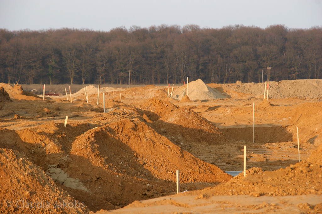 120316174442 IMG 1716