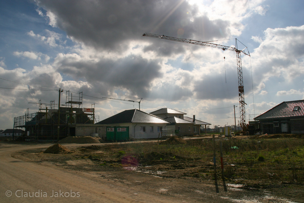 140302123154 IMG 6626