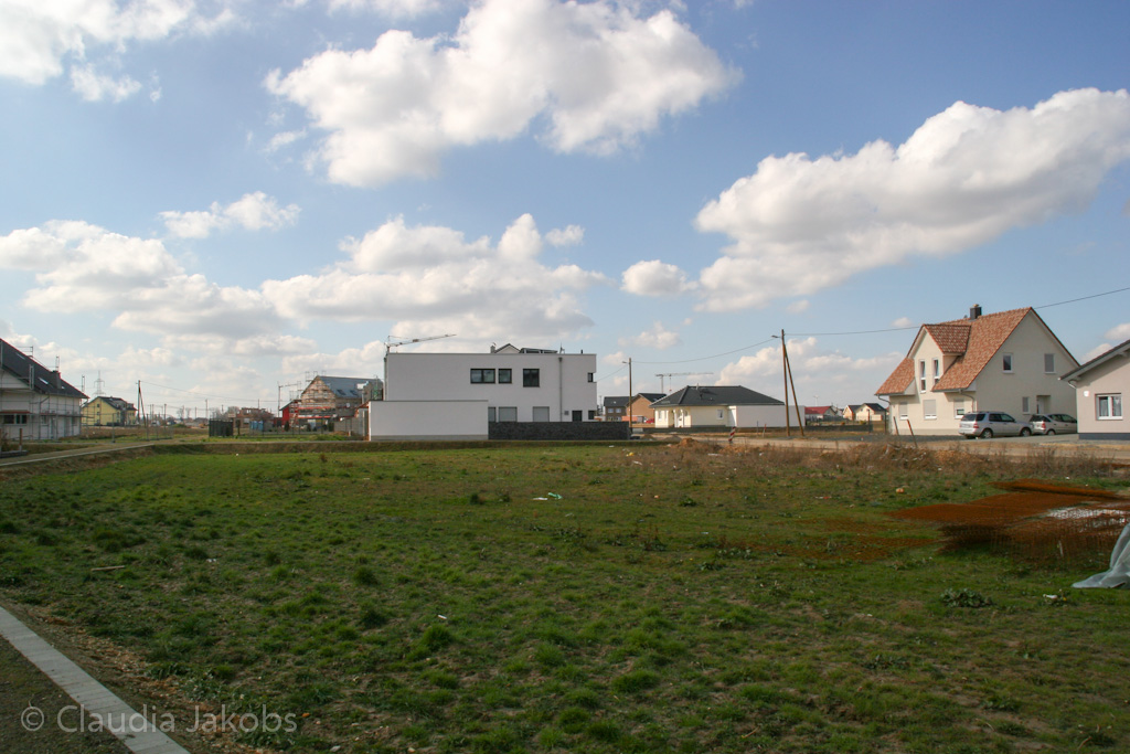 140302123351 IMG 6632