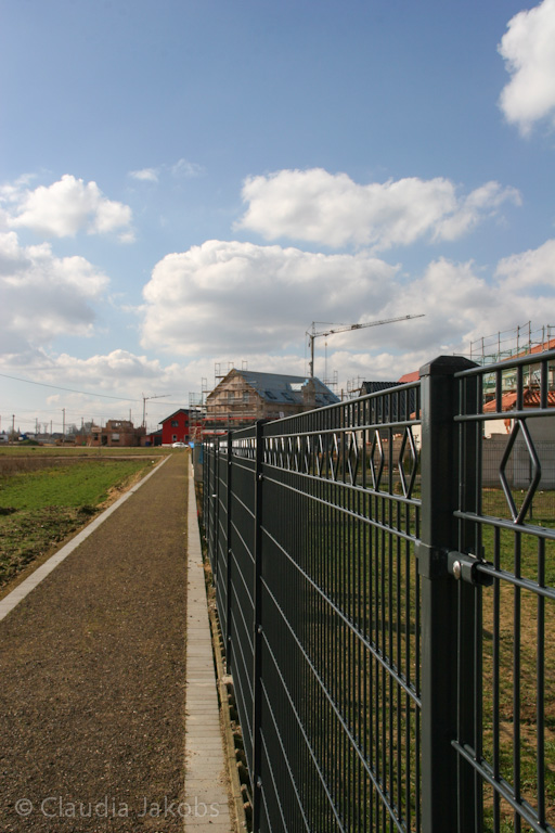 140302125128 IMG 6636