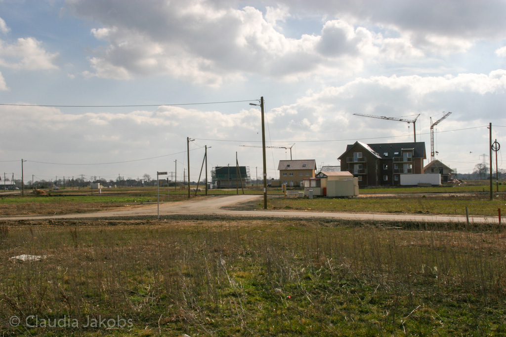 140302125258 IMG 6639