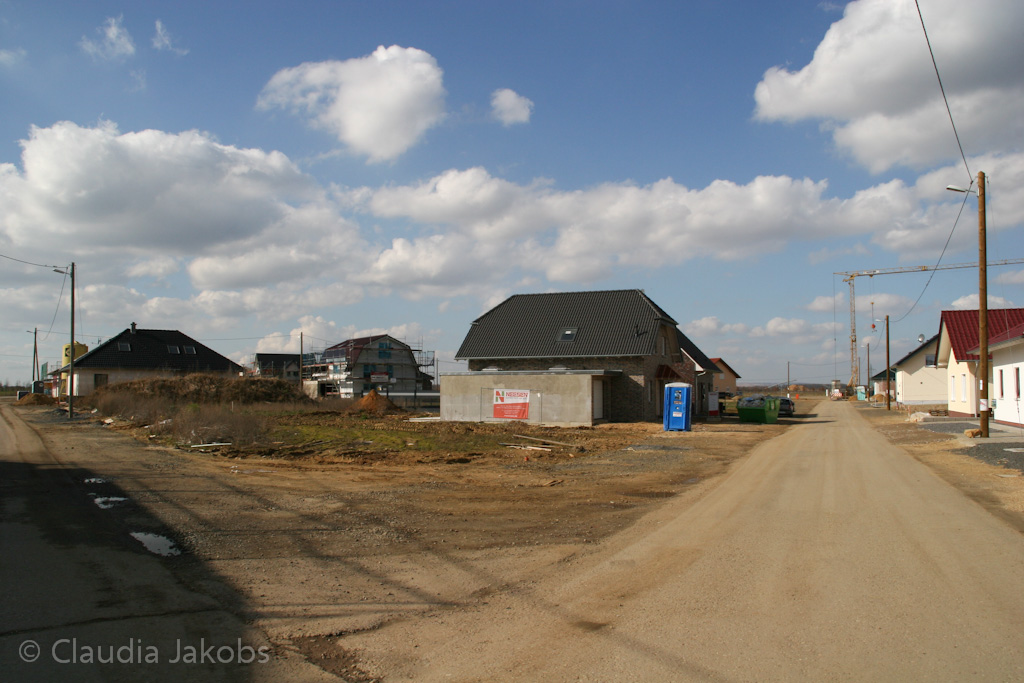 140302125845 IMG 6651