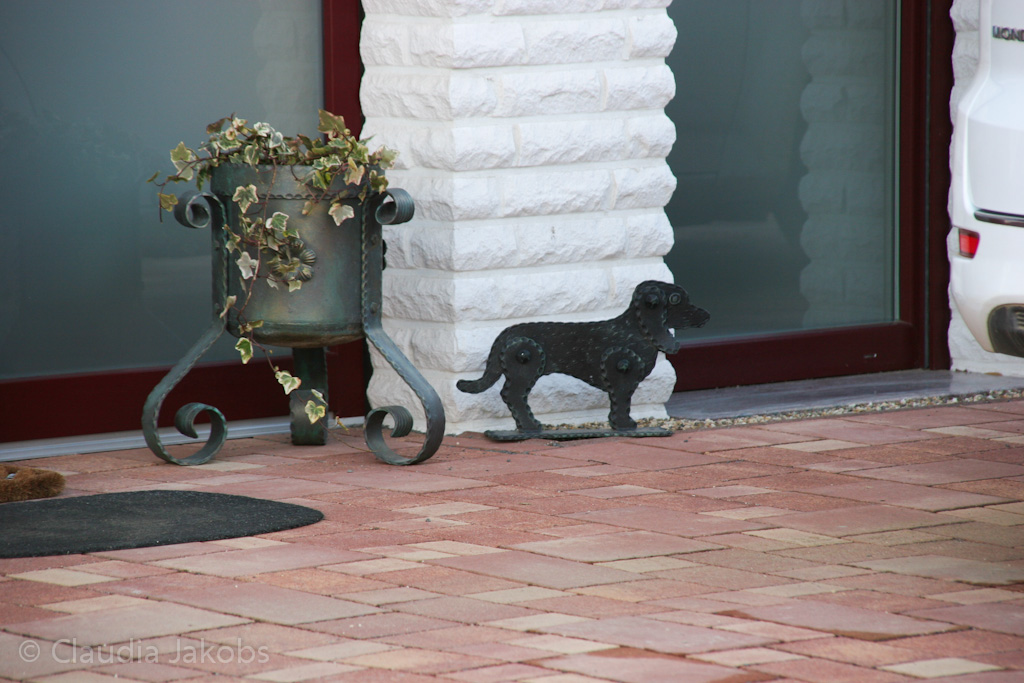 140302130507 IMG 6660