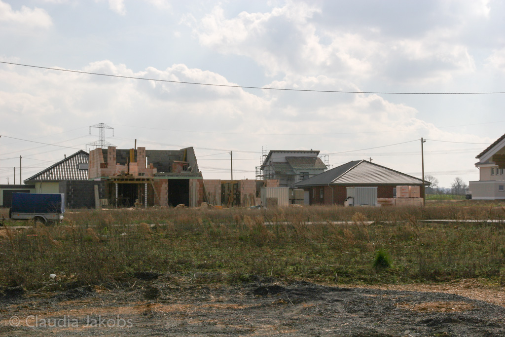 140302131634 IMG 6672